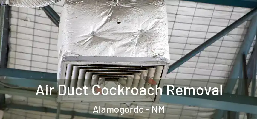  Air Duct Cockroach Removal Alamogordo - NM