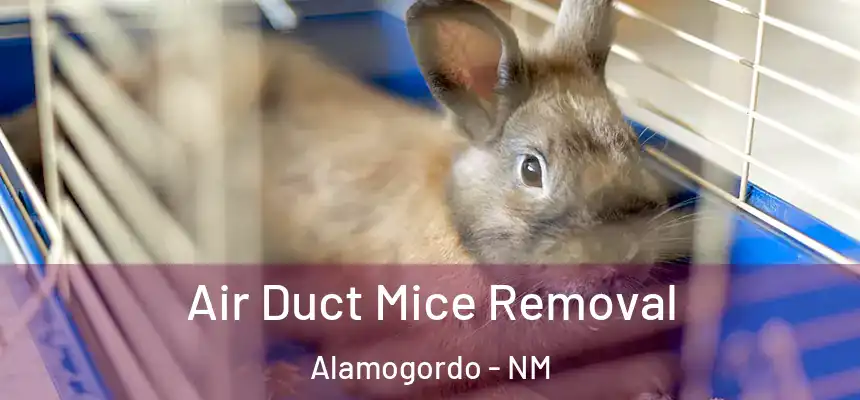 Air Duct Mice Removal Alamogordo - NM