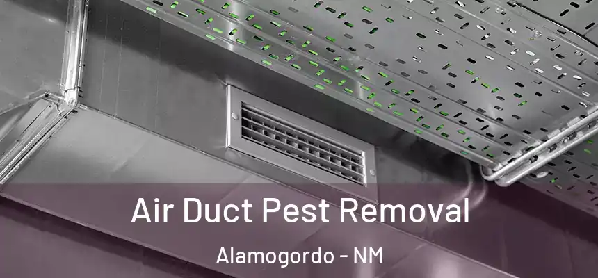  Air Duct Pest Removal Alamogordo - NM