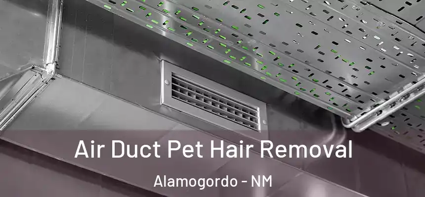  Air Duct Pet Hair Removal Alamogordo - NM