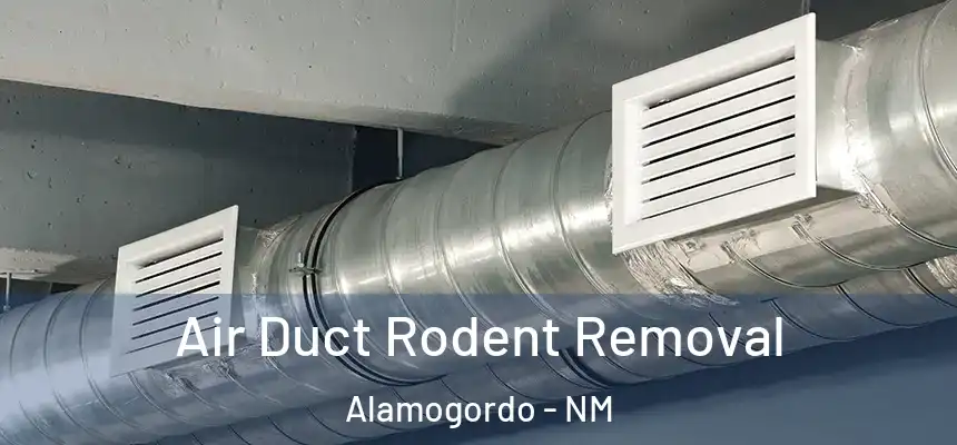 Air Duct Rodent Removal Alamogordo - NM