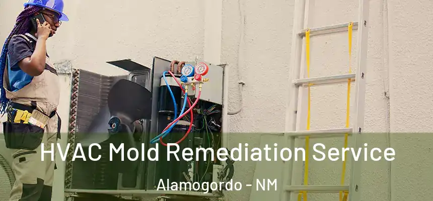  HVAC Mold Remediation Service Alamogordo - NM