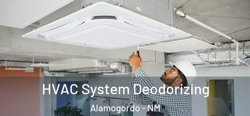  HVAC System Deodorizing Alamogordo - NM
