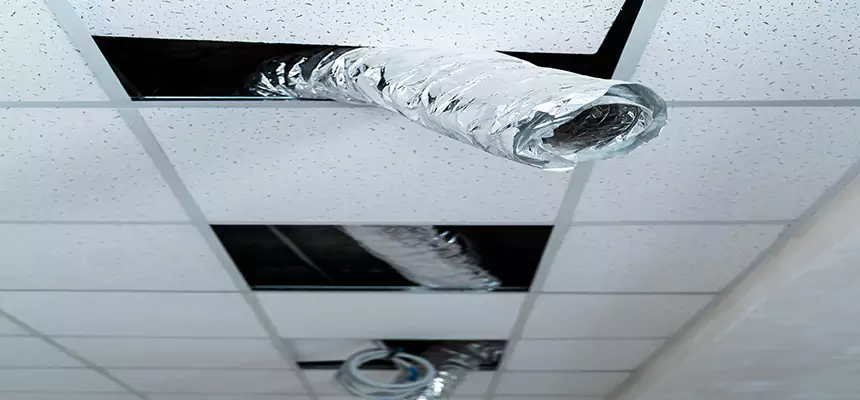 Our Air Duct Pet Hair Removal Services in Alamogordo, NM