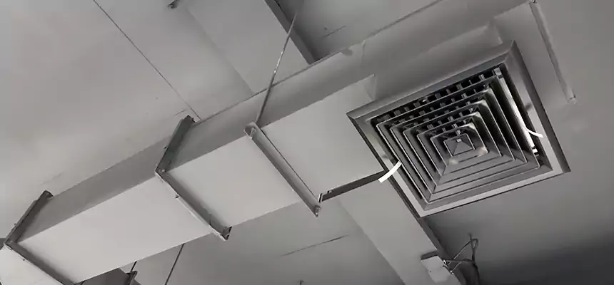 Our Rodent Droppings In Vents Services in Alamogordo, NM