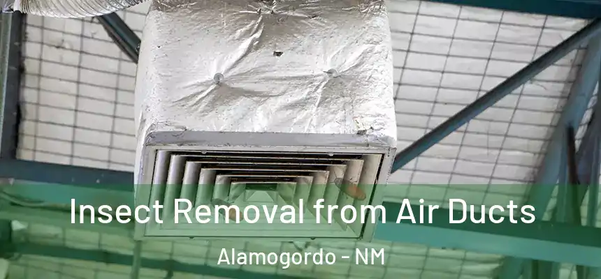 Insect Removal from Air Ducts Alamogordo - NM
