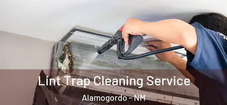  Lint Trap Cleaning Service Alamogordo - NM