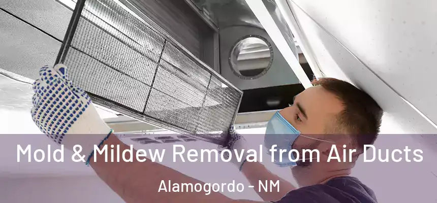 Mold & Mildew Removal from Air Ducts Alamogordo - NM