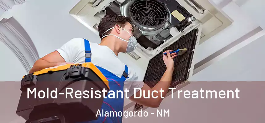  Mold-Resistant Duct Treatment Alamogordo - NM