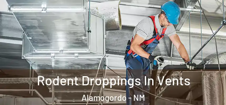  Rodent Droppings In Vents Alamogordo - NM