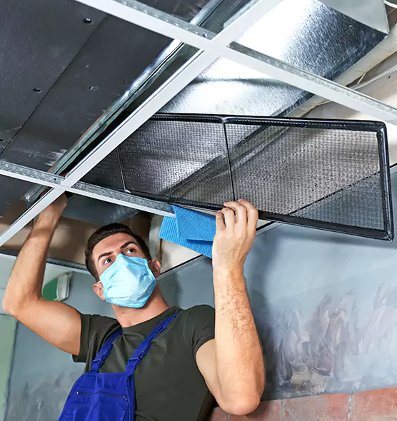 About Air Duct Bacteria Removal in Alamogordo