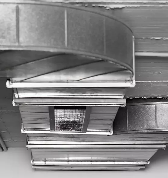 Professional Air Duct Pet Hair Removal in Alamogordo, NM