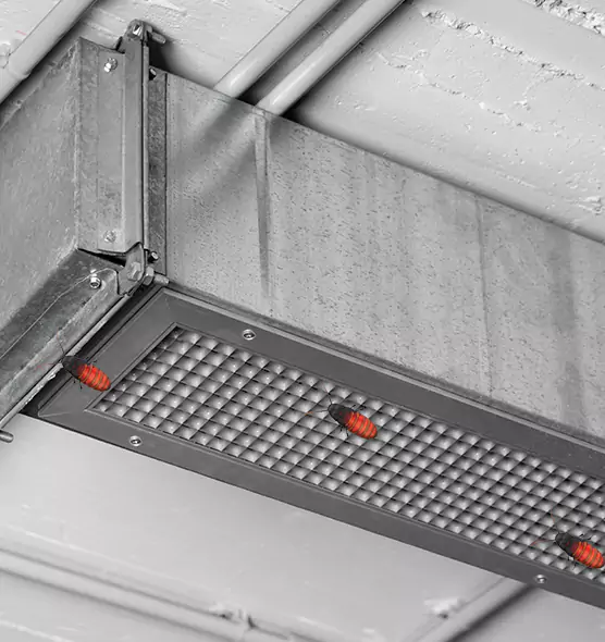 Affordable Insect Removal from Air Ducts in Alamogordo, NM