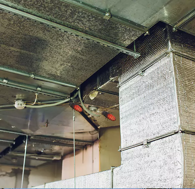 Why Homeowners & Businesses Trust Us in Alamogordo, NM?