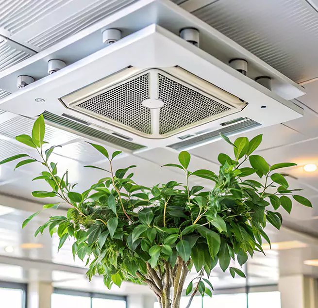 Why Homeowners & Businesses Trust Us in Alamogordo, NM?